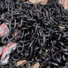 Anchor Chain - Image 2